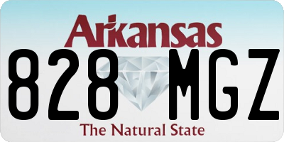 AR license plate 828MGZ