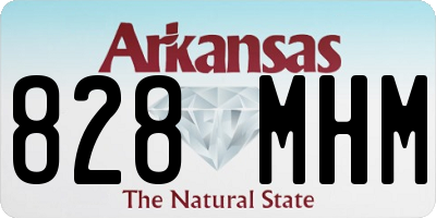 AR license plate 828MHM