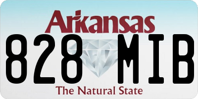 AR license plate 828MIB