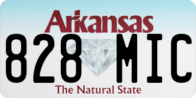 AR license plate 828MIC