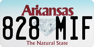 AR license plate 828MIF