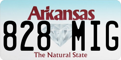 AR license plate 828MIG