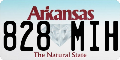AR license plate 828MIH