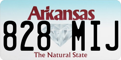 AR license plate 828MIJ