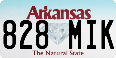 AR license plate 828MIK
