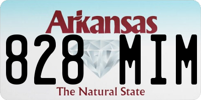 AR license plate 828MIM