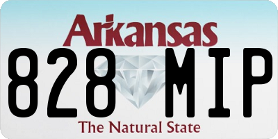 AR license plate 828MIP