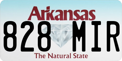 AR license plate 828MIR