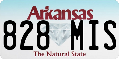 AR license plate 828MIS
