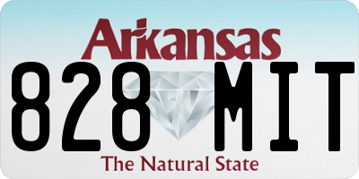 AR license plate 828MIT