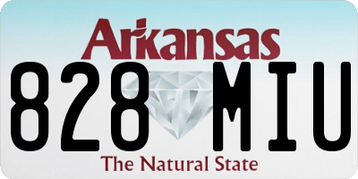 AR license plate 828MIU