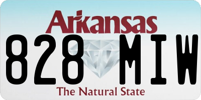 AR license plate 828MIW
