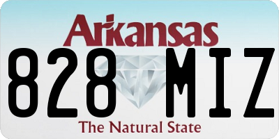 AR license plate 828MIZ