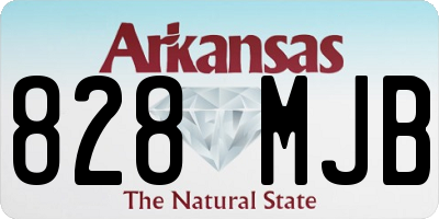 AR license plate 828MJB