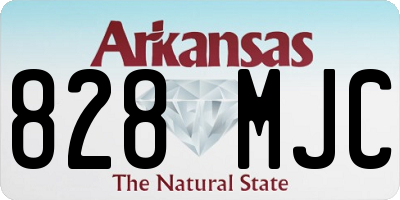 AR license plate 828MJC