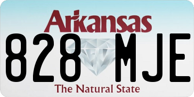 AR license plate 828MJE