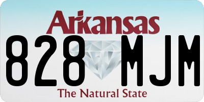 AR license plate 828MJM