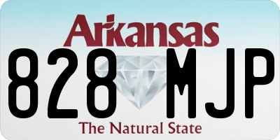 AR license plate 828MJP