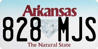 AR license plate 828MJS