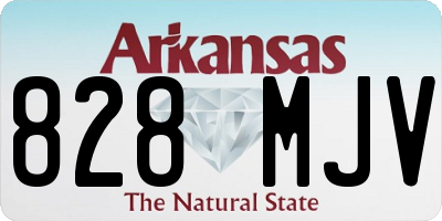 AR license plate 828MJV