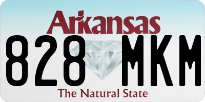AR license plate 828MKM