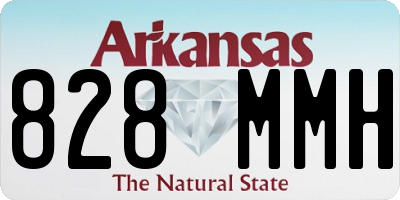 AR license plate 828MMH