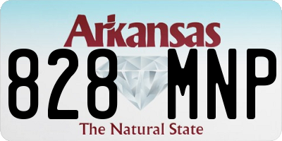 AR license plate 828MNP