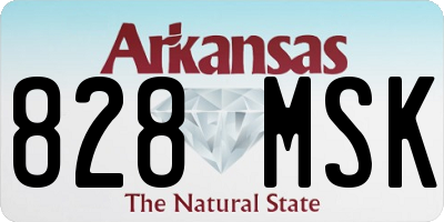 AR license plate 828MSK