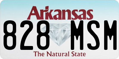 AR license plate 828MSM