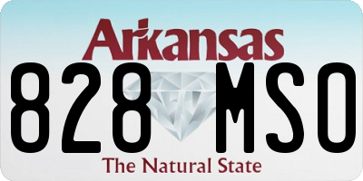 AR license plate 828MSO