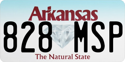 AR license plate 828MSP