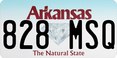 AR license plate 828MSQ