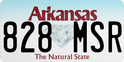 AR license plate 828MSR