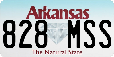 AR license plate 828MSS
