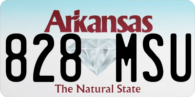 AR license plate 828MSU