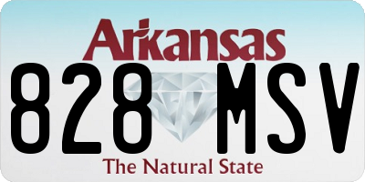 AR license plate 828MSV