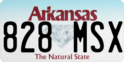 AR license plate 828MSX