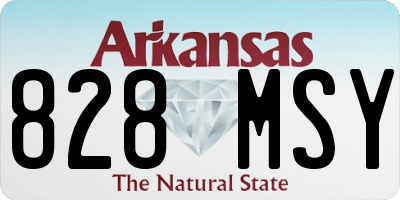 AR license plate 828MSY