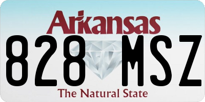AR license plate 828MSZ