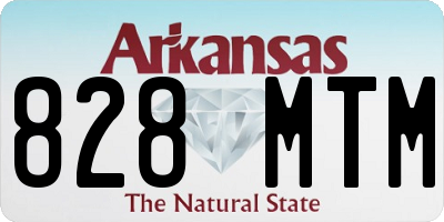 AR license plate 828MTM