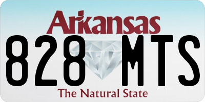 AR license plate 828MTS