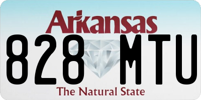 AR license plate 828MTU