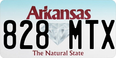AR license plate 828MTX