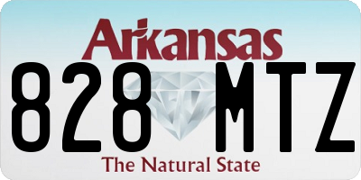 AR license plate 828MTZ