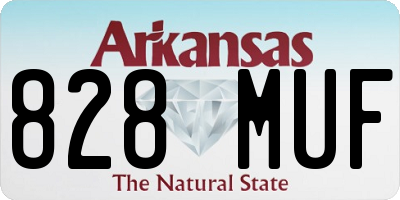 AR license plate 828MUF