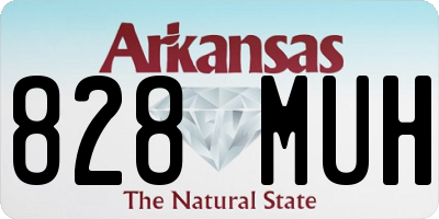 AR license plate 828MUH