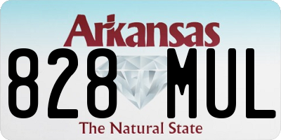 AR license plate 828MUL