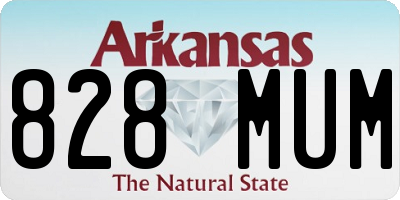 AR license plate 828MUM