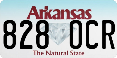 AR license plate 828OCR