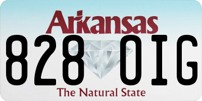 AR license plate 828OIG